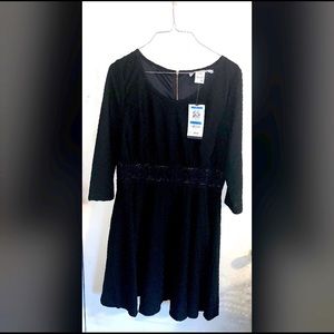 American Rag Black Dress